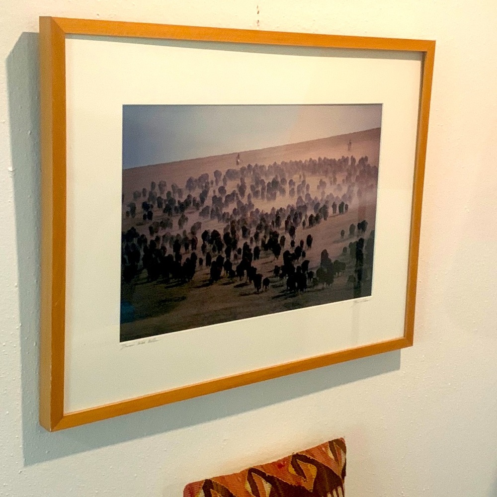 Signed - framed Dances w Wolves photography from the movie - framed at a gallery